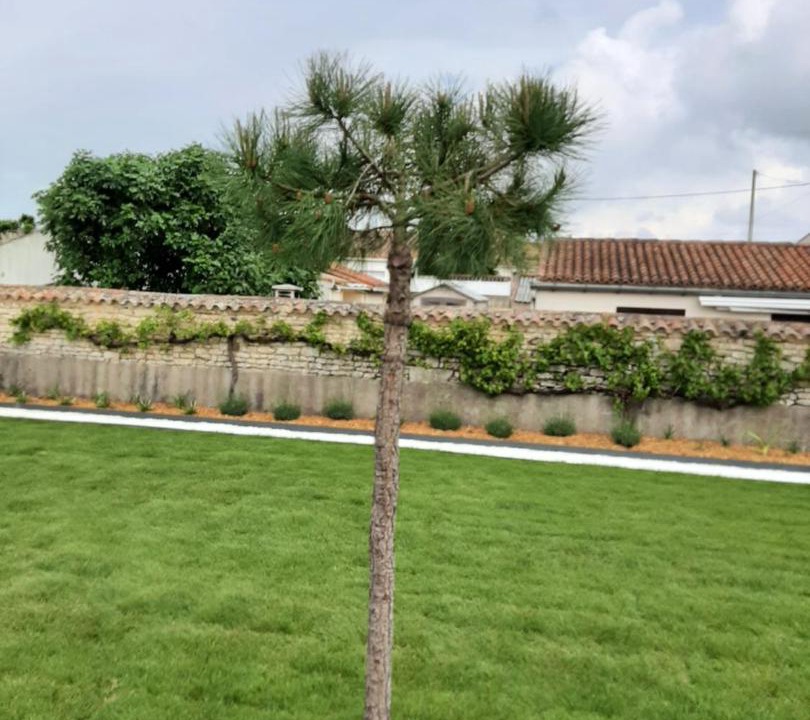 Photo of Others in LʼAiguillon-sur-Mer