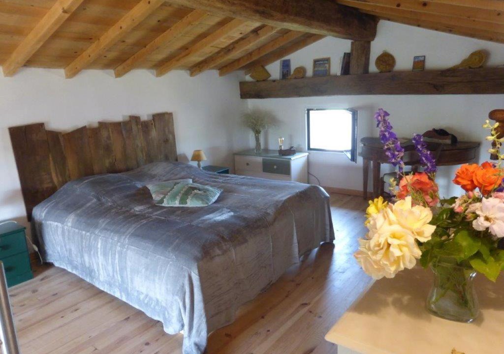 Photo of Others in Sault