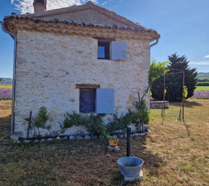 Photo of Others in Sault