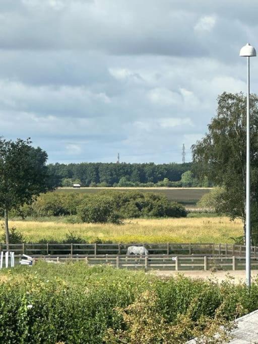 Photo of Others in Vallensbæk Kommune