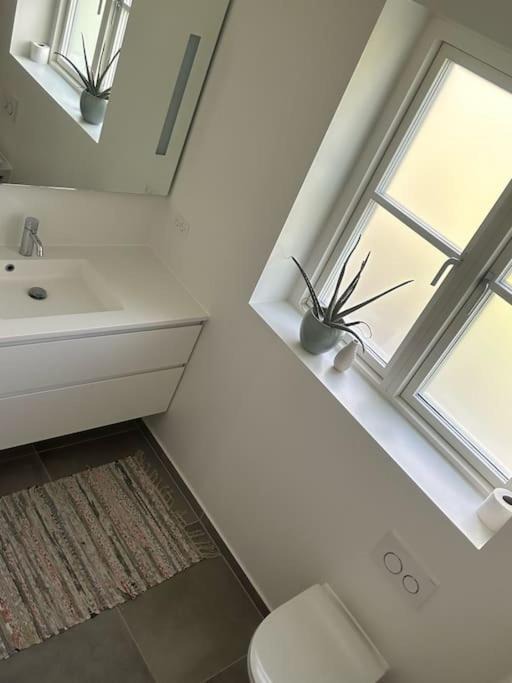 Photo of Others in Vallensbæk Kommune