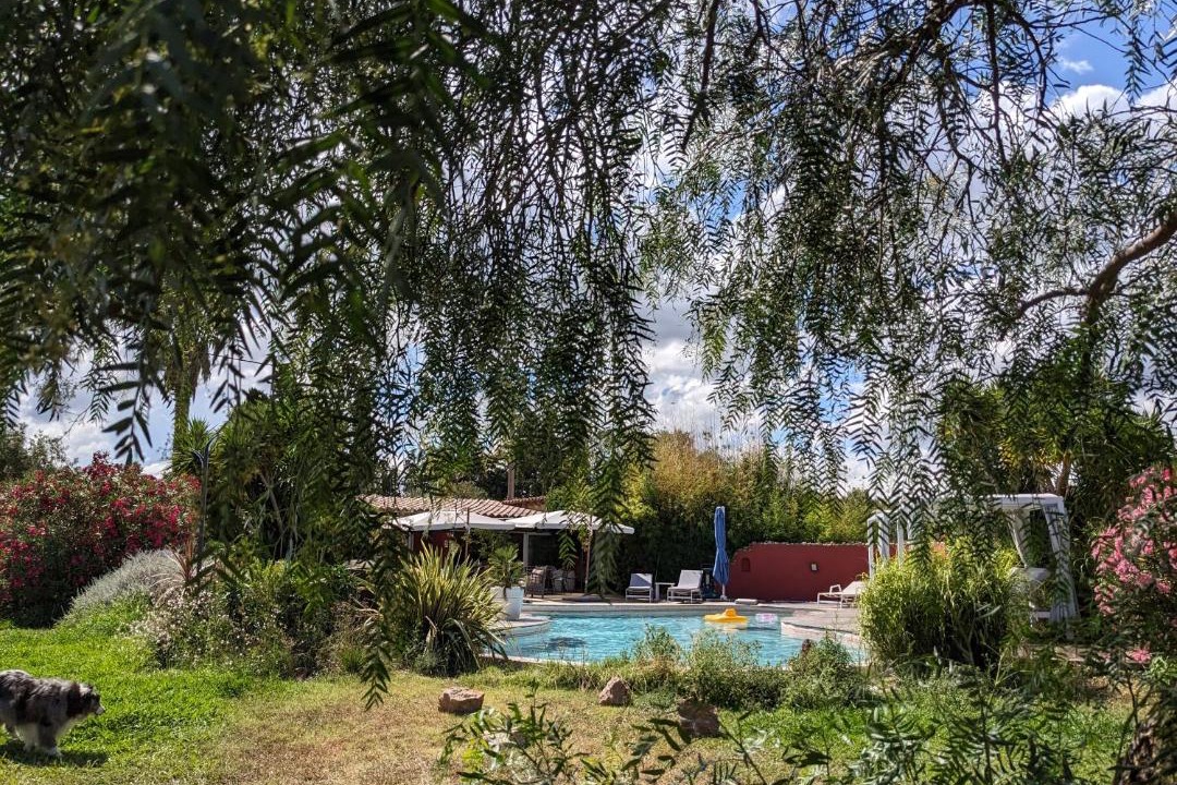 Photo of Others in Baho