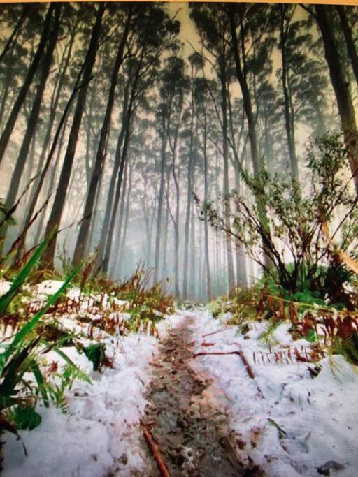 Photo of Others in Millgrove