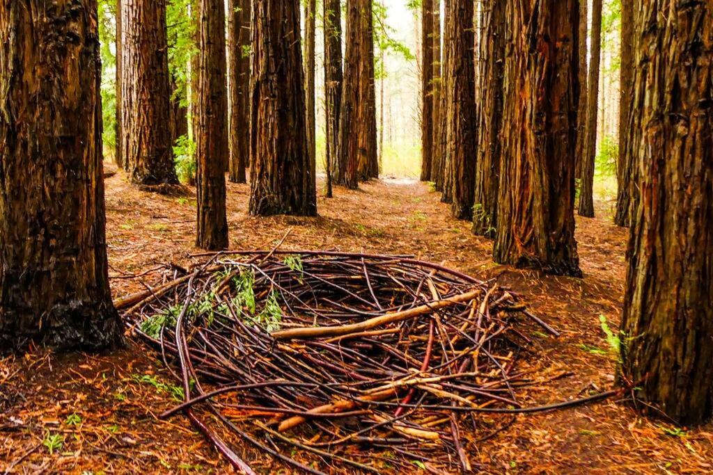 Photo of Others in Millgrove