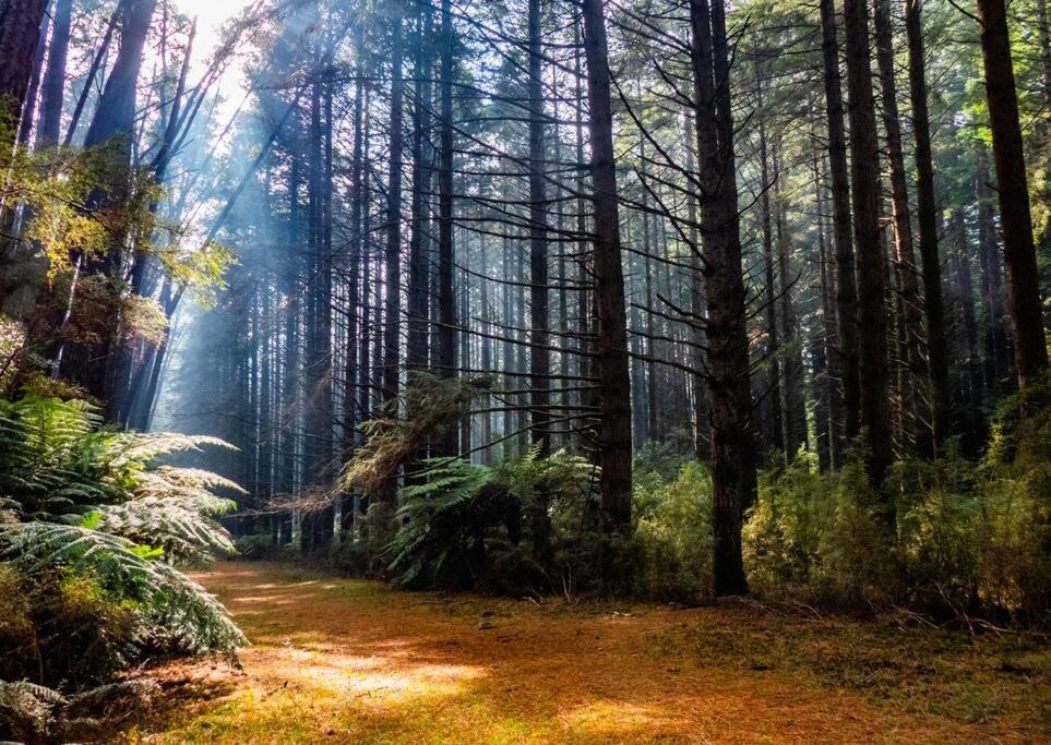 Photo of Others in Millgrove