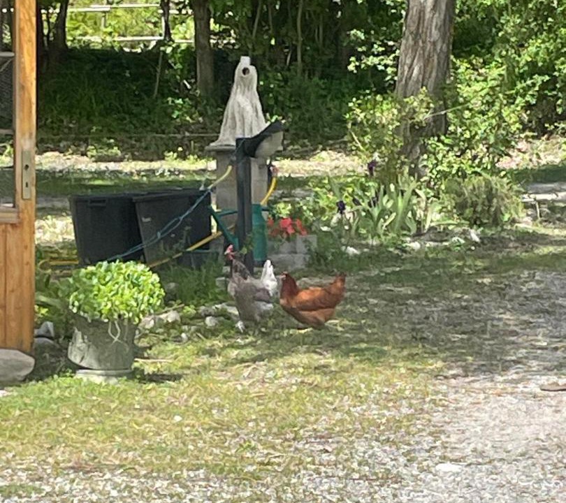 Photo of Others in Veynes