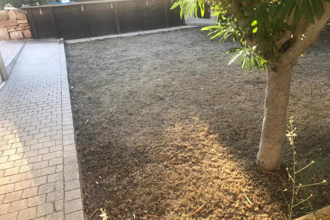 Photo of Others in Signes