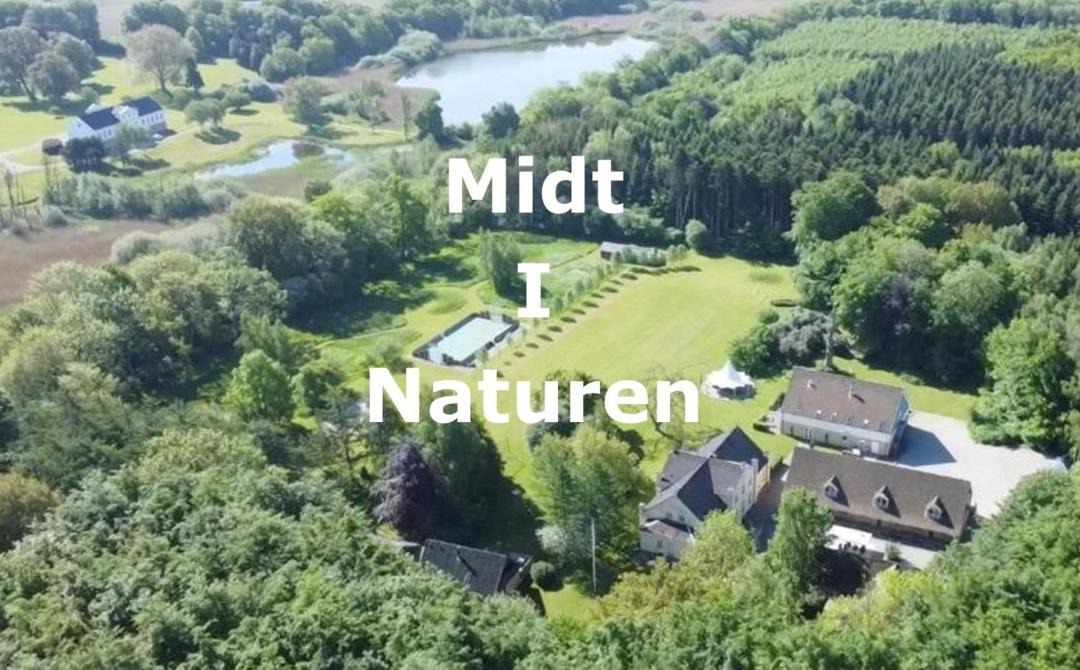 Photo of Others in Torrig