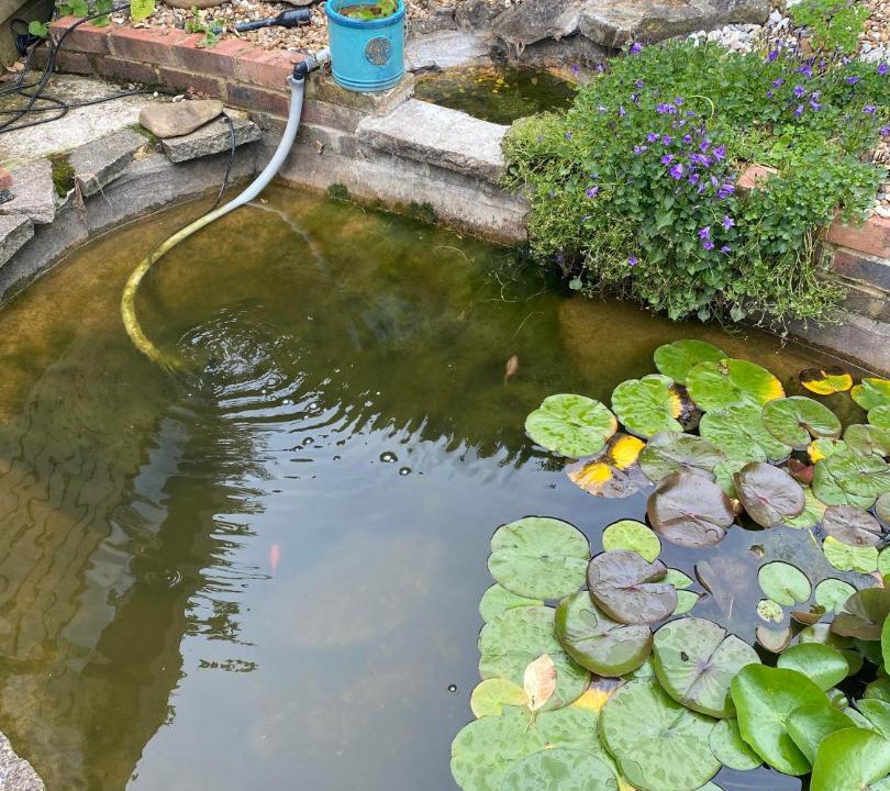 Photo of Others in Kenley