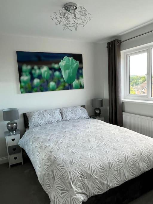 Photo of Others in Brimington