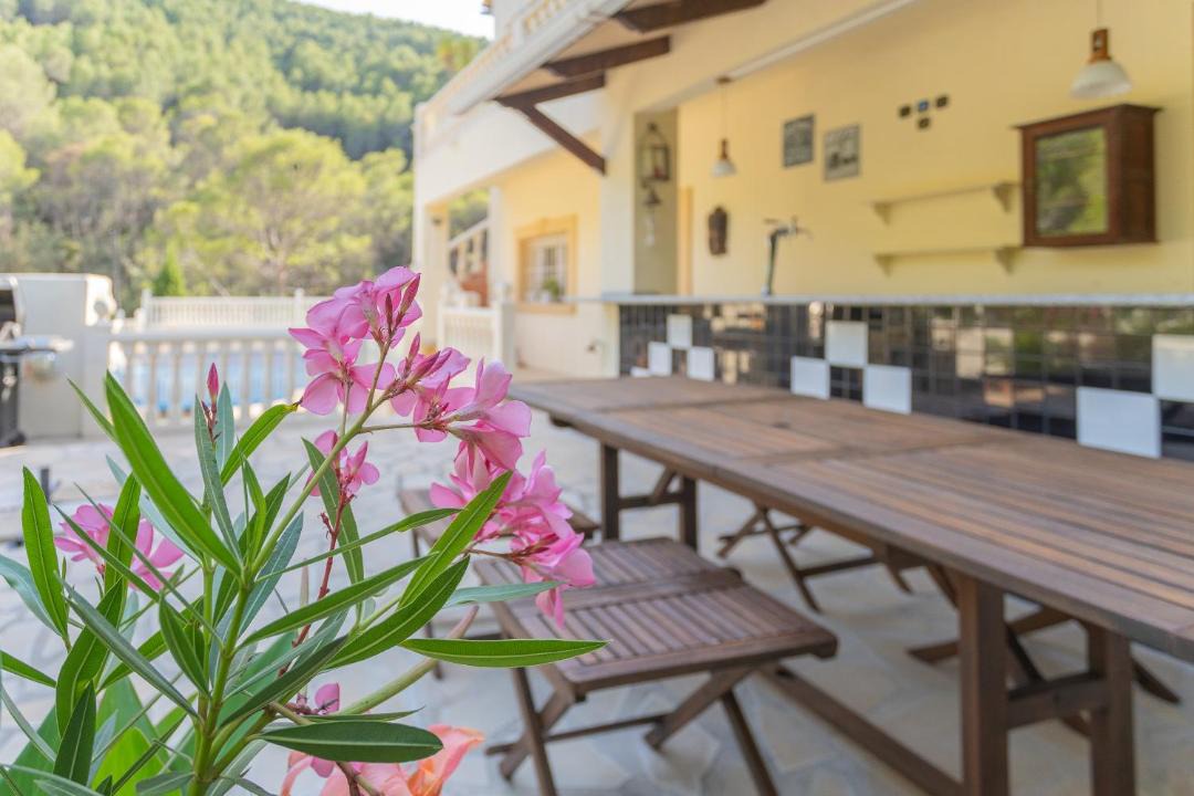 Photo of Others in Orba