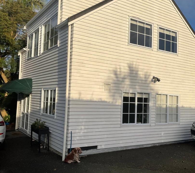 Photo of Others in Takapuna