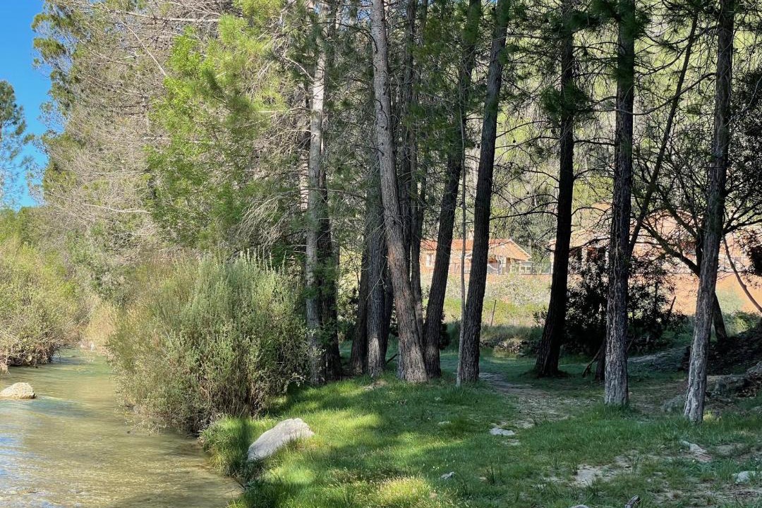 Photo of Others in Yeste