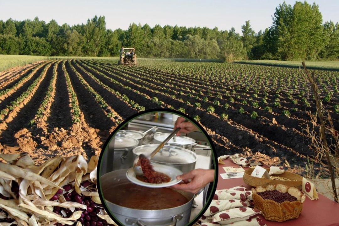 Photo of Others in Arlanzon