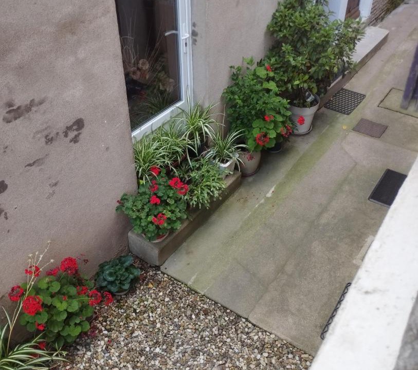 Photo of Others in Verdun-sur-le-Doubs