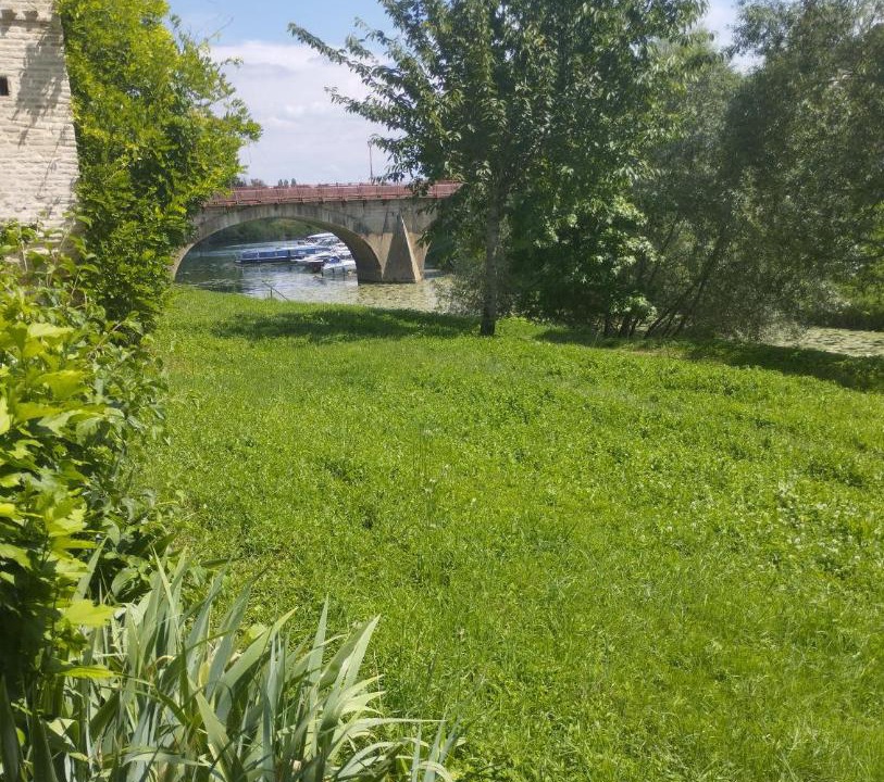 Photo of Others in Verdun-sur-le-Doubs