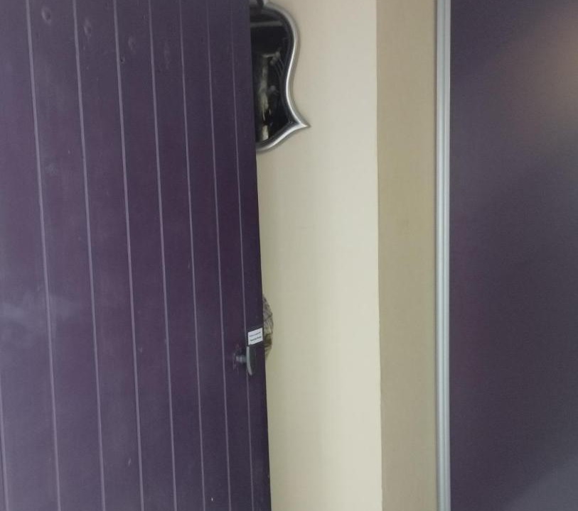 Photo of Others in Verdun-sur-le-Doubs