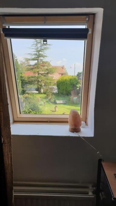 Photo of Others in Bouvines