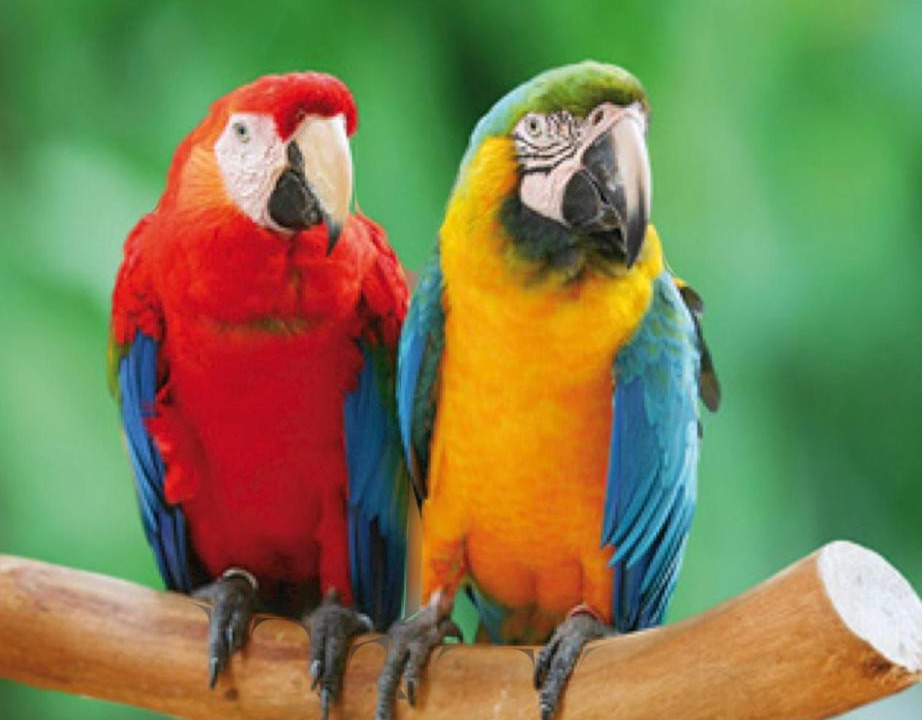 Photo of Others in Chateaubriant