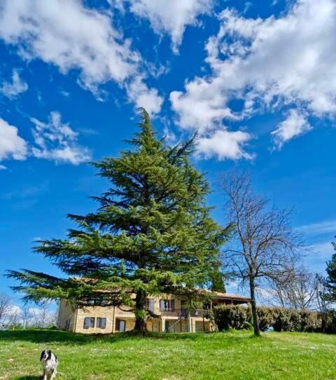 Photo of Others in Grezels