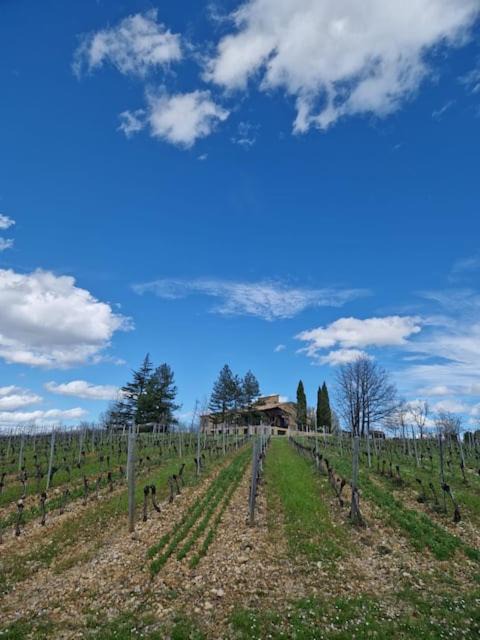 Photo of Others in Grezels