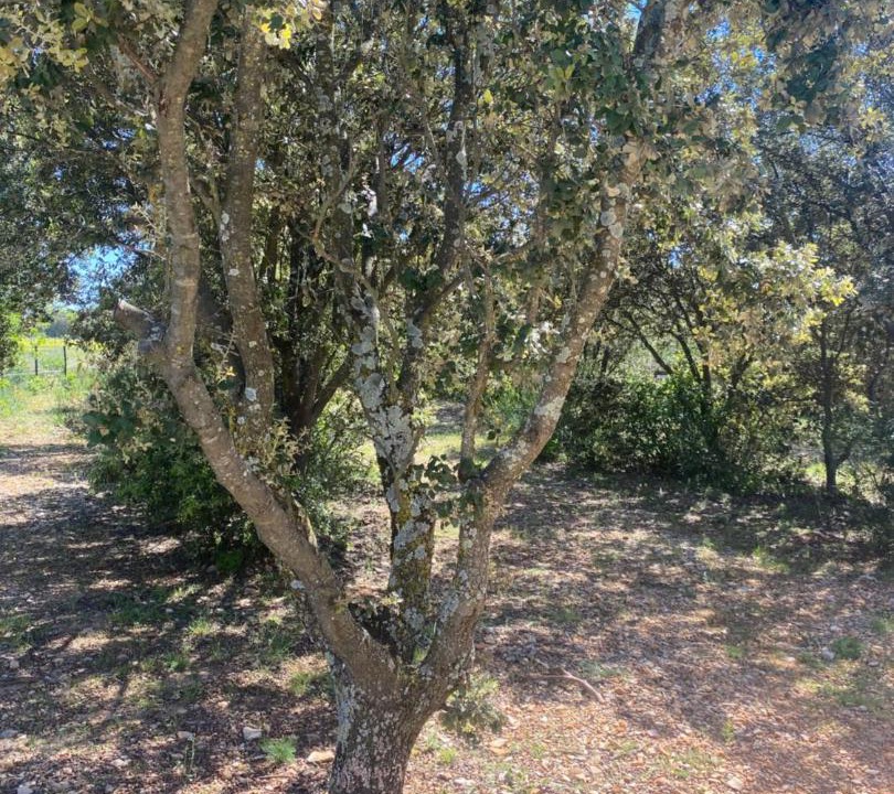 Photo of Others in Grignan