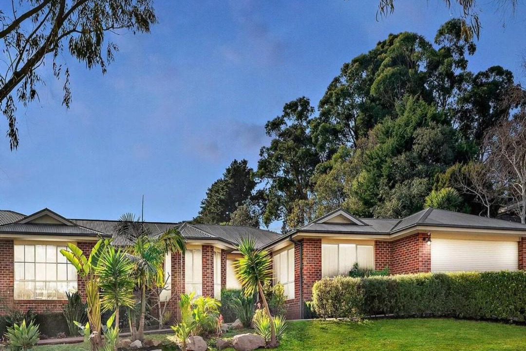 Photo of Others in The Basin