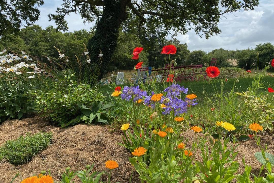 Photo of Others in Pluvigner