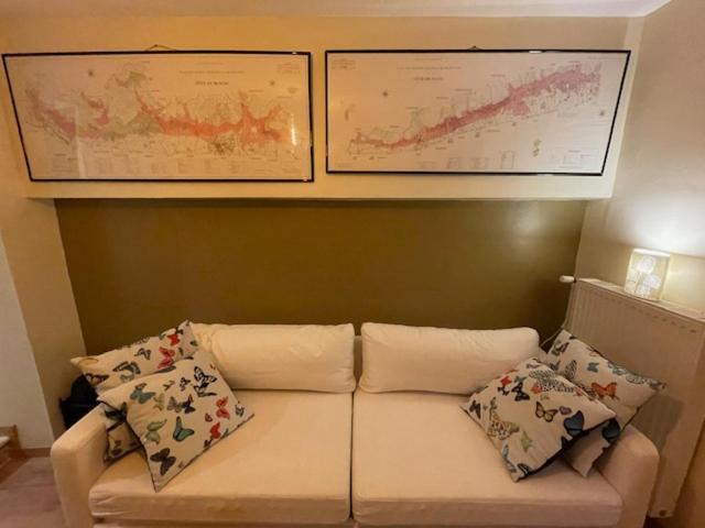 Photo of Others in Ladoix-Serrigny