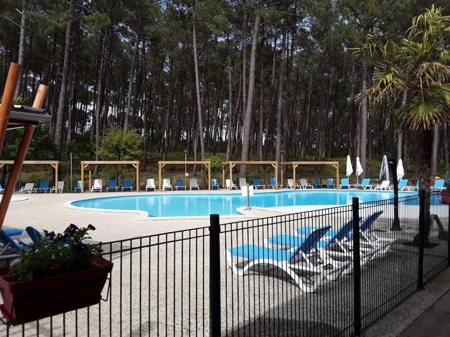 Photo of Others in Bias