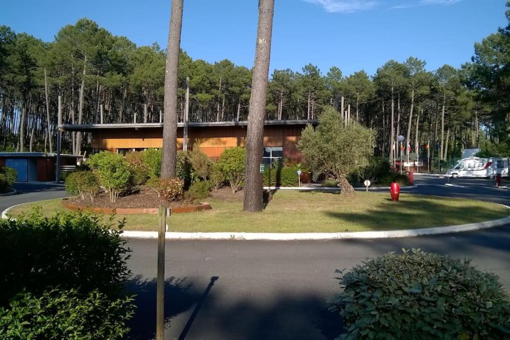 Photo of Others in Bias