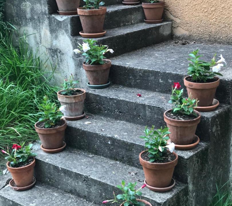 Photo of Others in Moissac