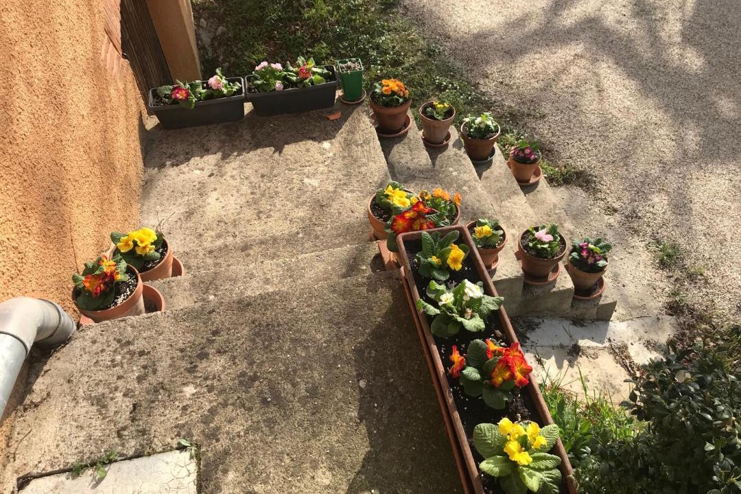 Photo of Others in Moissac