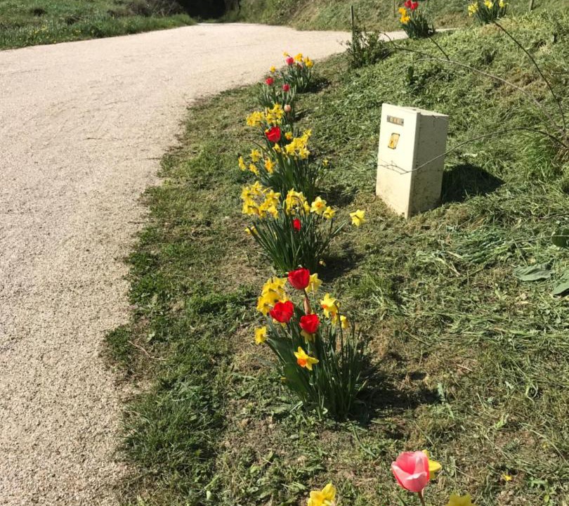 Photo of Outdoor in Moissac