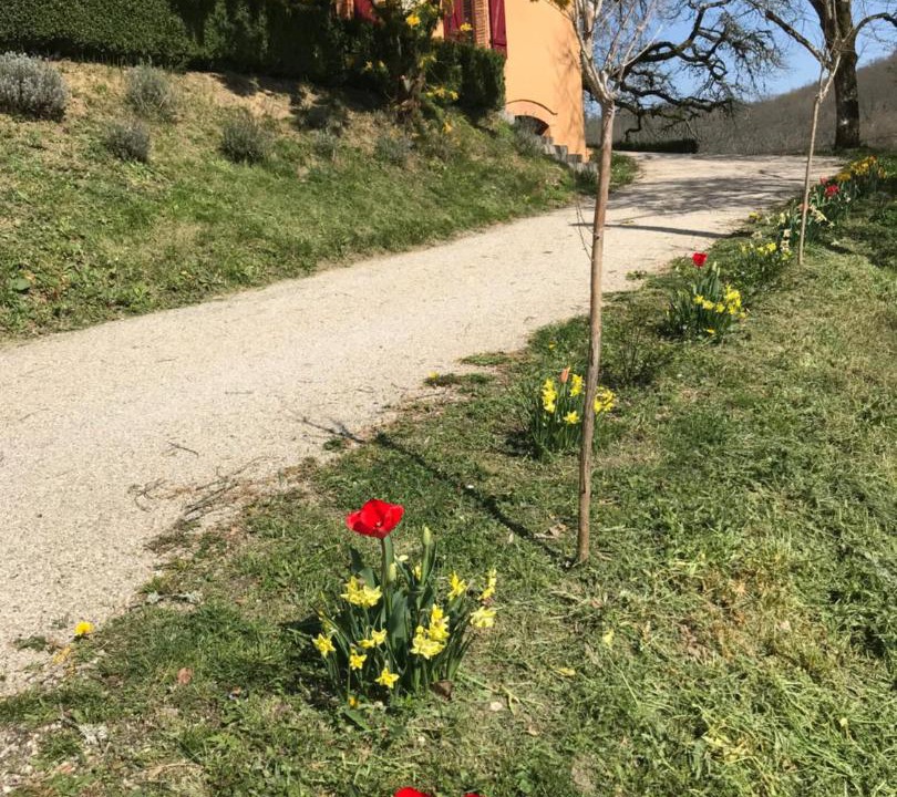 Photo of Others in Moissac