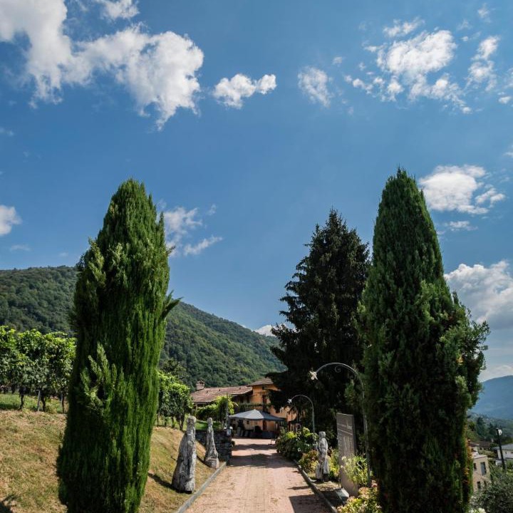 Photo of Others in Castelrotto