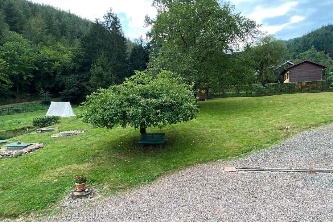 Photo of Others in Muhlbach-sur-Bruche