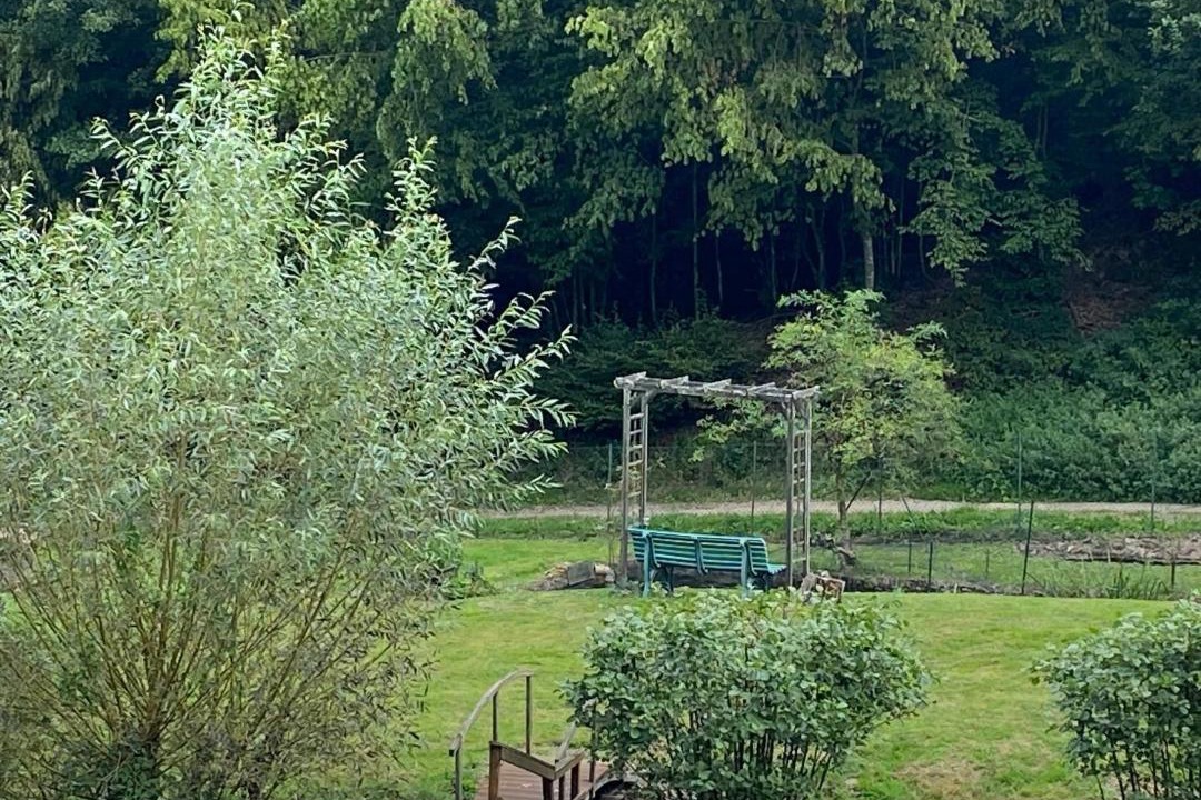 Photo of Others in Muhlbach-sur-Bruche