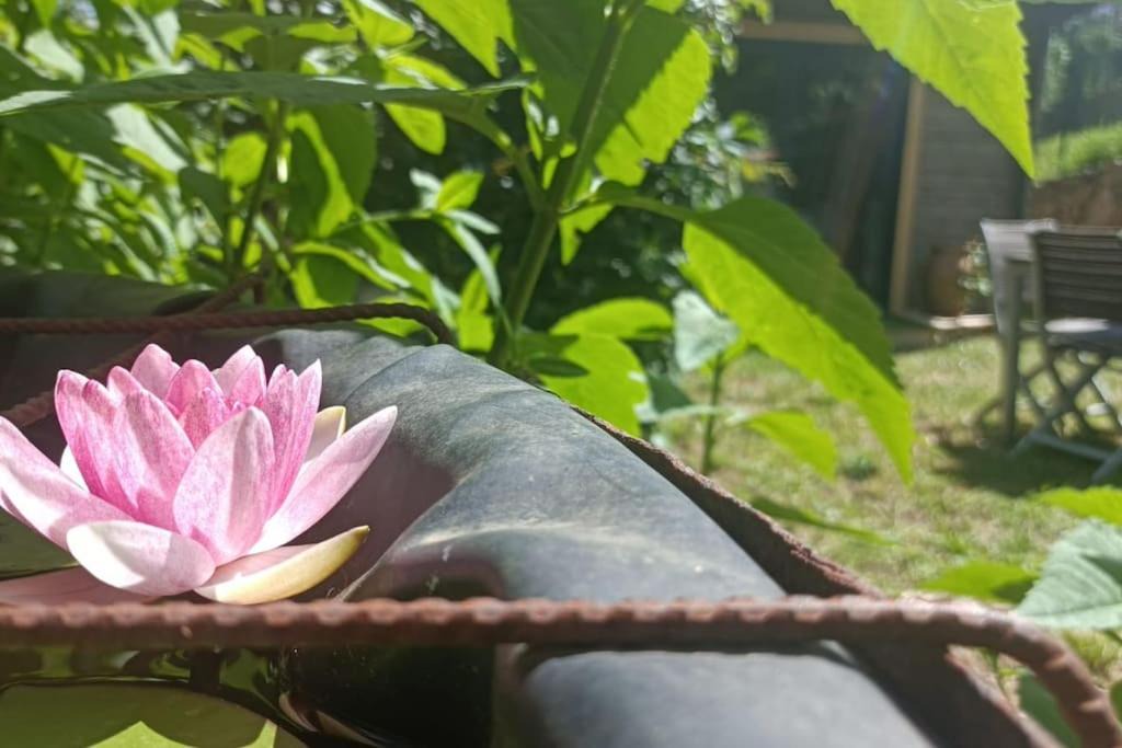 Photo of Others in Fabras