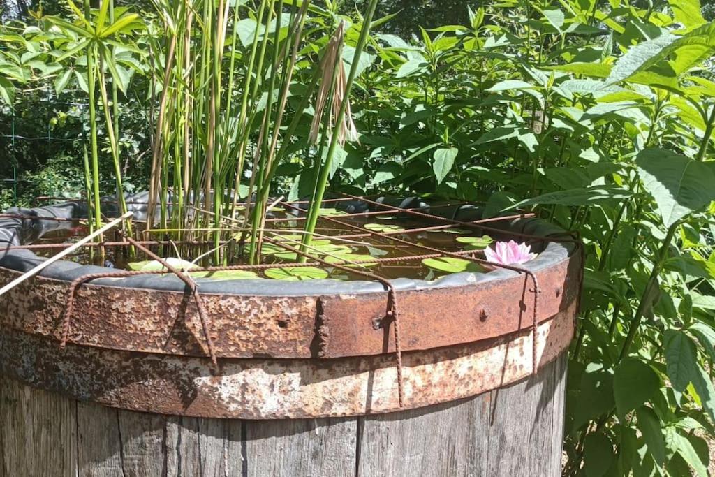 Photo of Others in Fabras