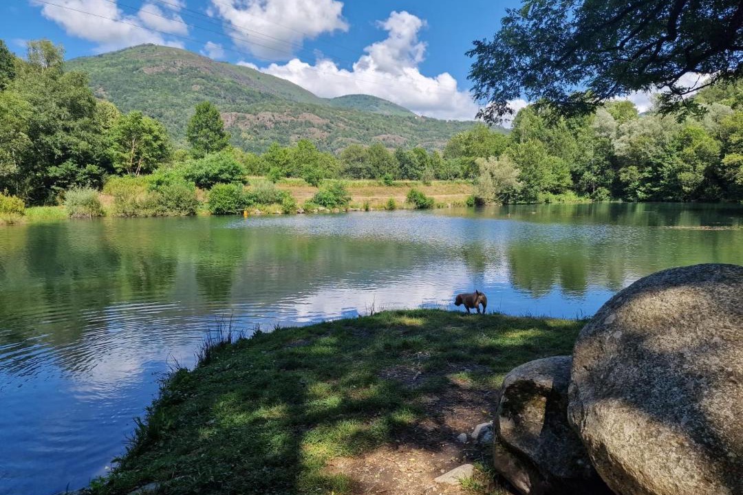 Photo of Others in Savignac-les-Ormeaux