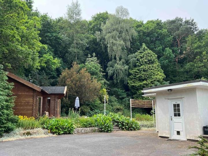 Photo of Others in Bishop Sutton