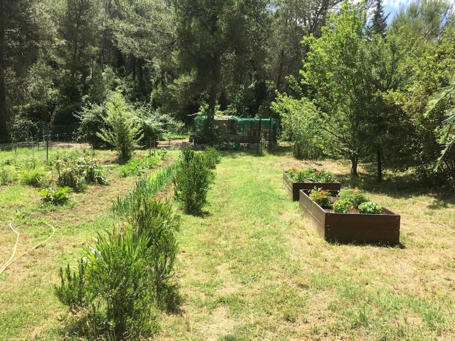 Photo of Outdoor in Assas