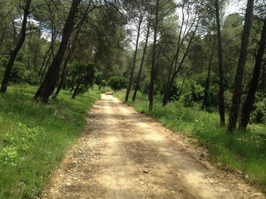 Photo of Outdoor in Assas