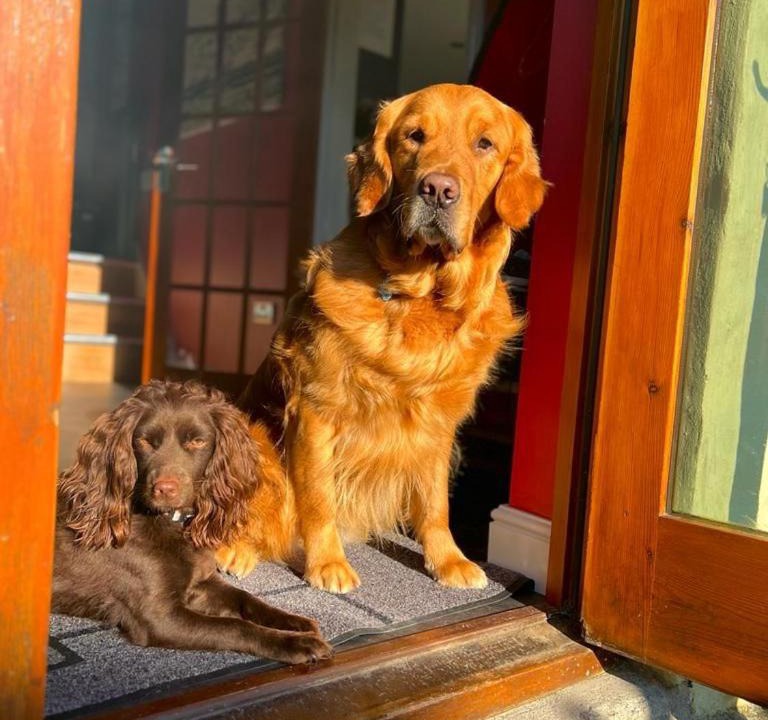 Photo of Others in Neyland