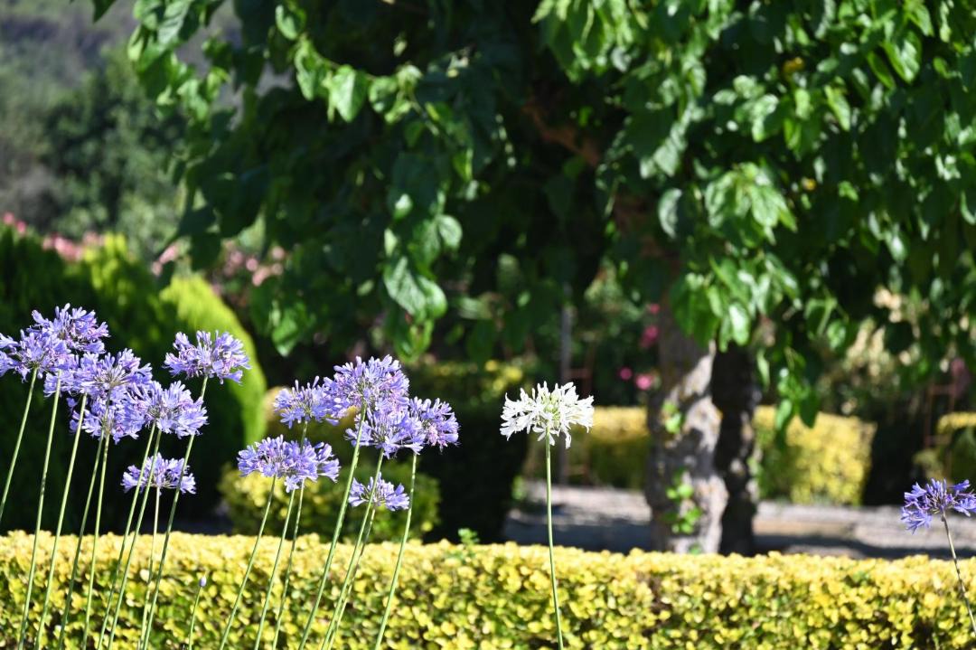 Photo of Outdoor in Tordera