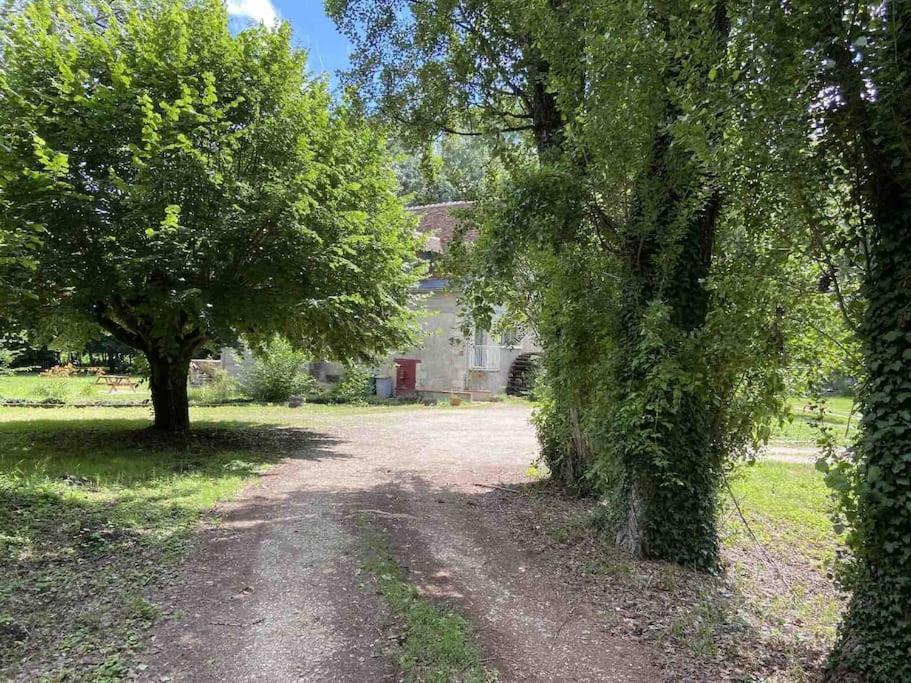 Photo of Others in Saint-Ouen-les-Vignes