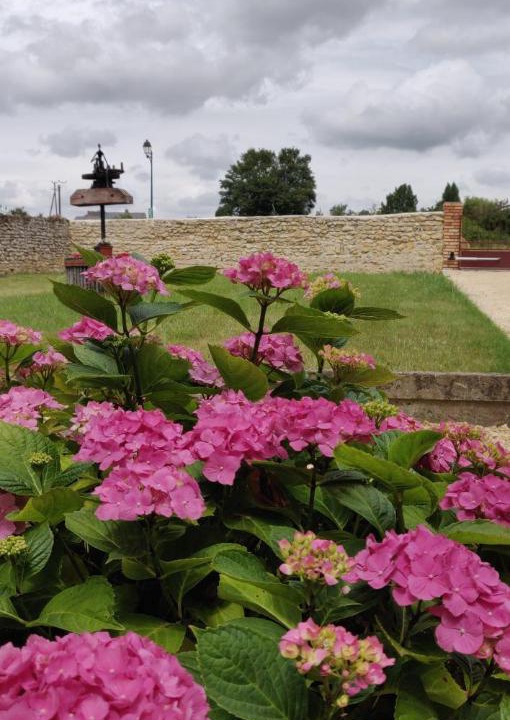 Photo of Others in Huille