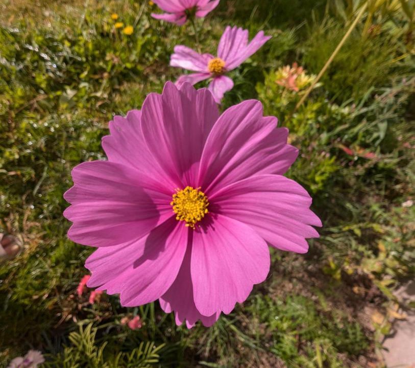 Photo of Outdoor in Locarn