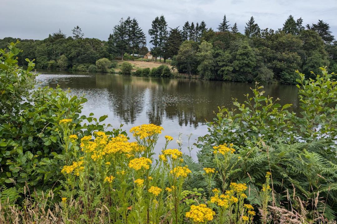 Photo of Others in Locarn